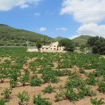 Casa Rural Cal Marti El Pla de Manlleu 外观 照片