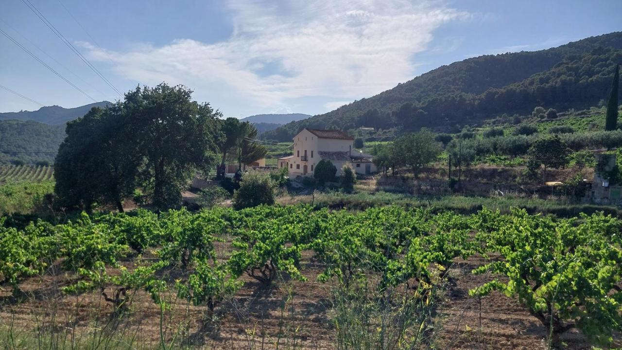 Casa Rural Cal Marti El Pla de Manlleu 外观 照片