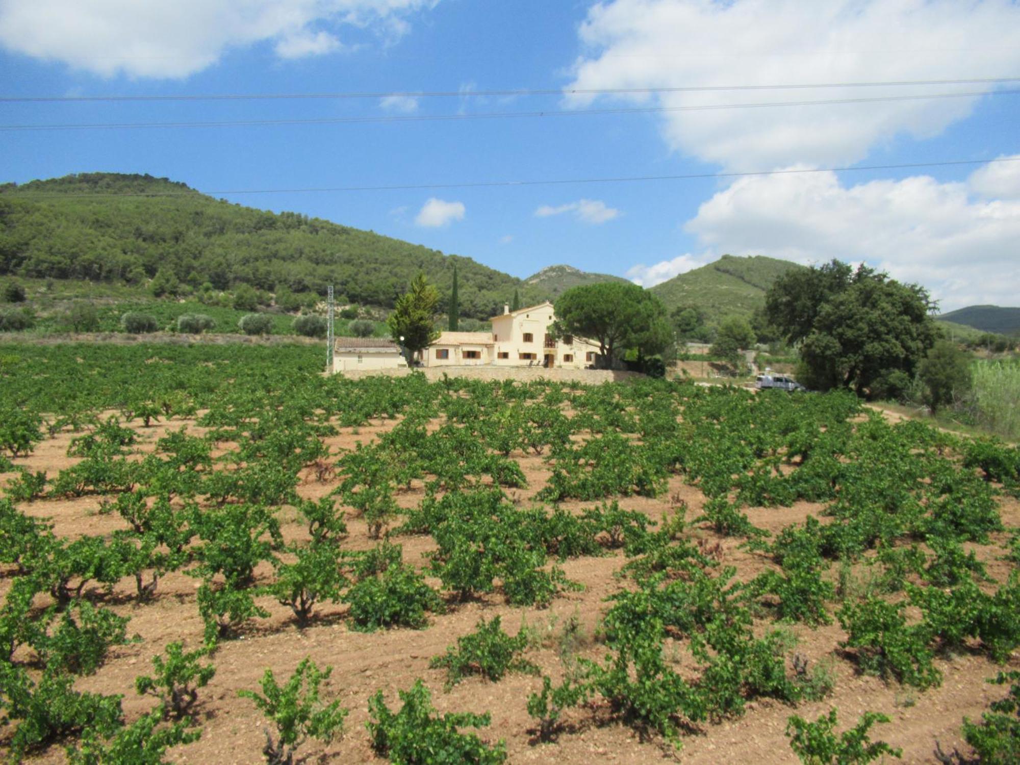 Casa Rural Cal Marti El Pla de Manlleu 外观 照片