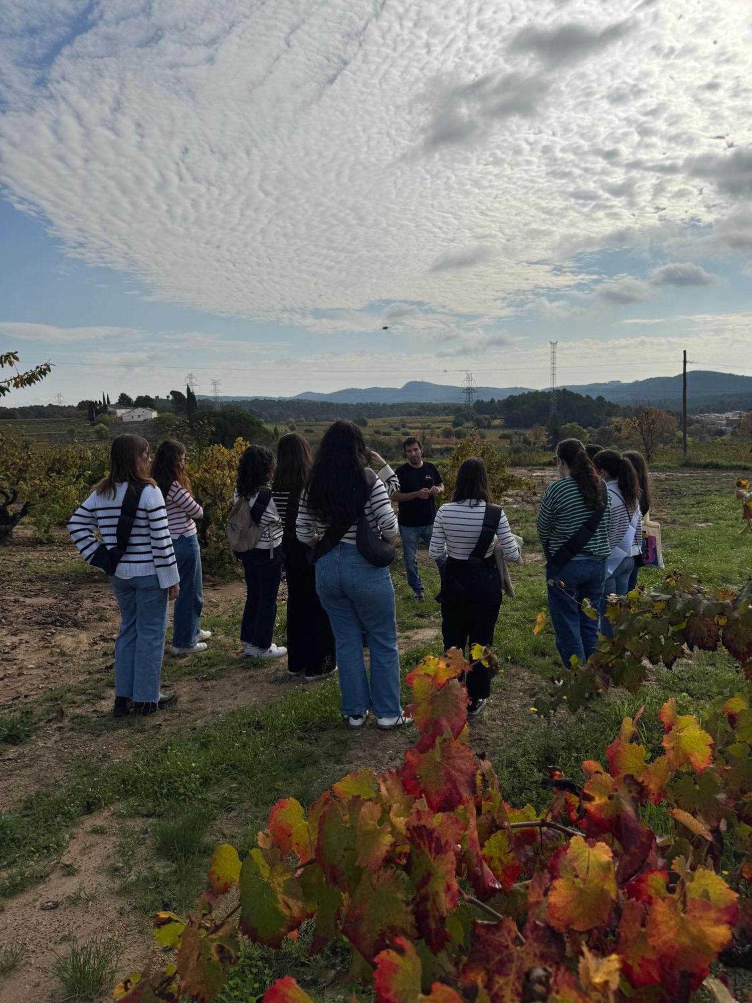 Casa Rural Cal Marti El Pla de Manlleu 外观 照片