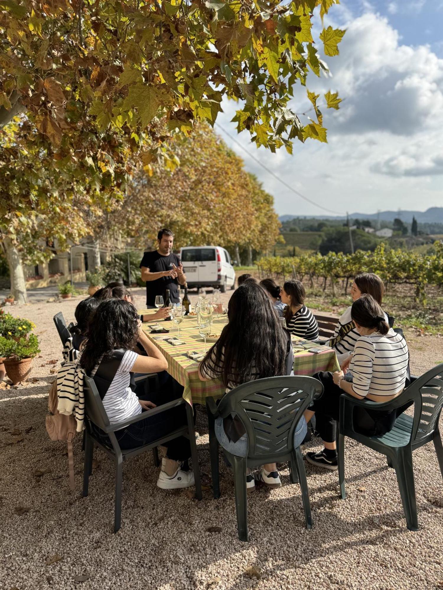 Casa Rural Cal Marti El Pla de Manlleu 外观 照片